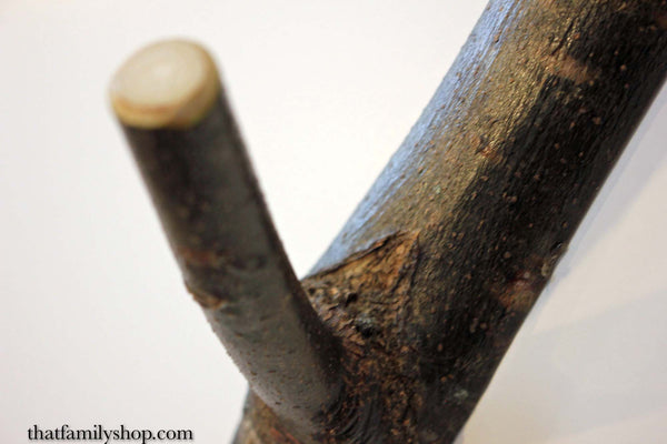 Branch Coat Hooks, Mudroom/Entryway Organizers