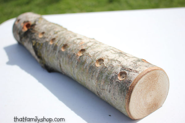Woodsy 18 Cake Pop Holder Log, Aspen Wood Party Table Display-thatfamilyshop.com