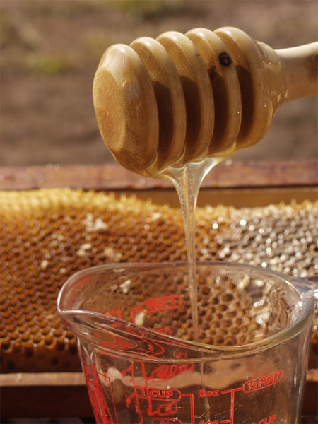 Honey Dip Hand-Turned Country Kitchen Utensil Mom's Stocking Stuffer-thatfamilyshop.com