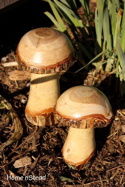 Log Mushrooms (Set of 2) Garden Gift Lawn Ornaments Display-thatfamilyshop.com