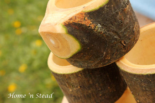 Set of (8) Branch Napkin Rings Holders, Log Home Kitchen Party Favors, Wood Table Accessories-thatfamilyshop.com