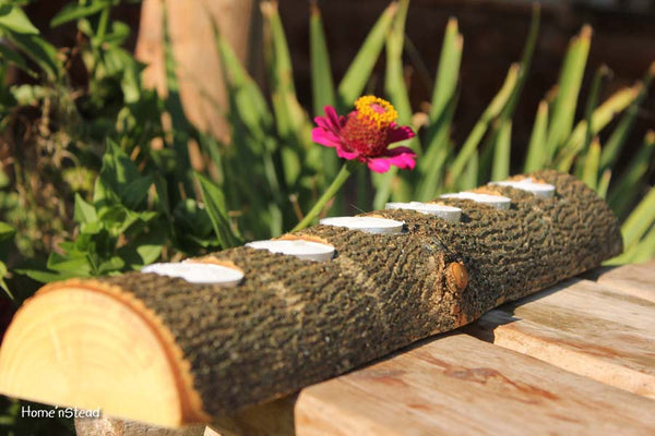 20 Inch 6 Candle Rustic Log Holder Rustic Wedding Cabin Decor Table Piece Slab Ash Wood-thatfamilyshop.com