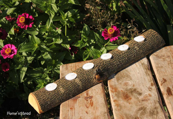 20 Inch 6 Candle Rustic Log Holder Rustic Wedding Cabin Decor Table Piece Slab Ash Wood-thatfamilyshop.com