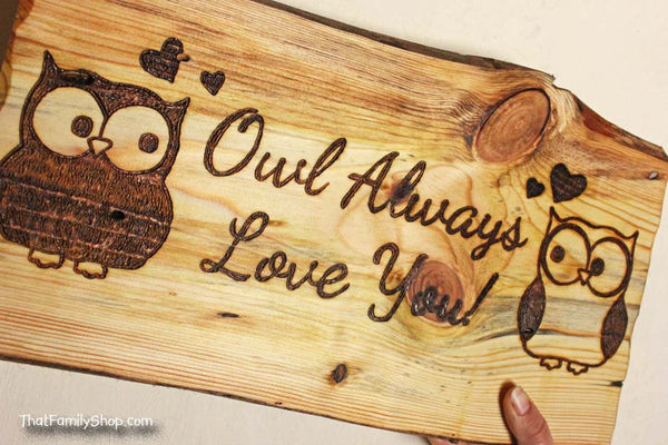 Owl Plaque, Cute Rustic Personalized Wall Gift Art-thatfamilyshop.com