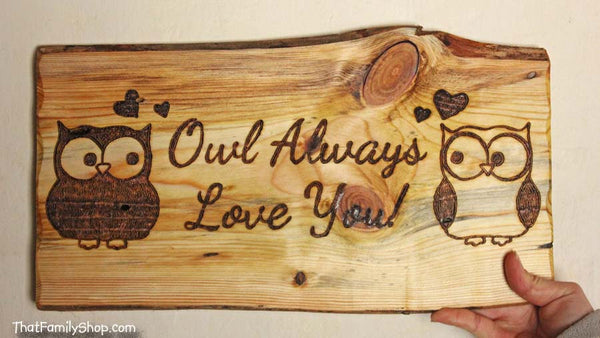 Owl Plaque, Cute Rustic Personalized Wall Gift Art-thatfamilyshop.com