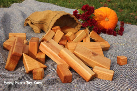 Building Block Set Kids Natural Toys Wooden 28 piece Set with Carrying Bag-thatfamilyshop.com