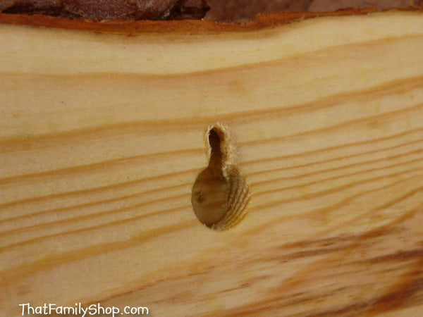 Beatles Wood Burned Wall Art Plaque Song Quote Fan Gift Famous Song Quote-thatfamilyshop.com