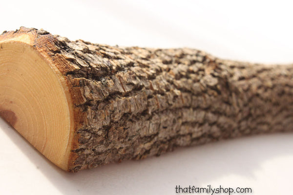 Half-Round Log Card Holder with Rough Bark Table Setting Rustic Wedding Display-thatfamilyshop.com