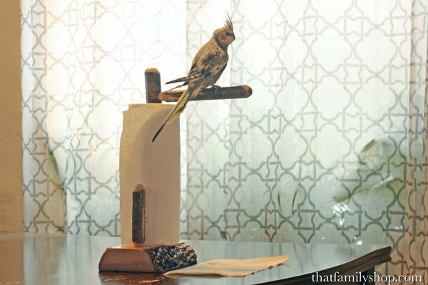 The "Poopy Perch" Paper Towel Holder and Pet Bird Trainer