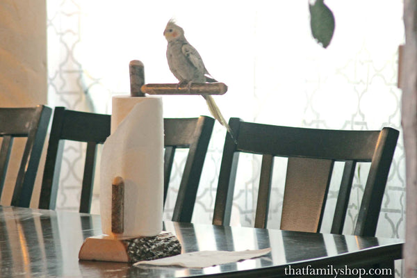 The "Poopy Perch" Paper Towel Holder and Pet Bird Trainer