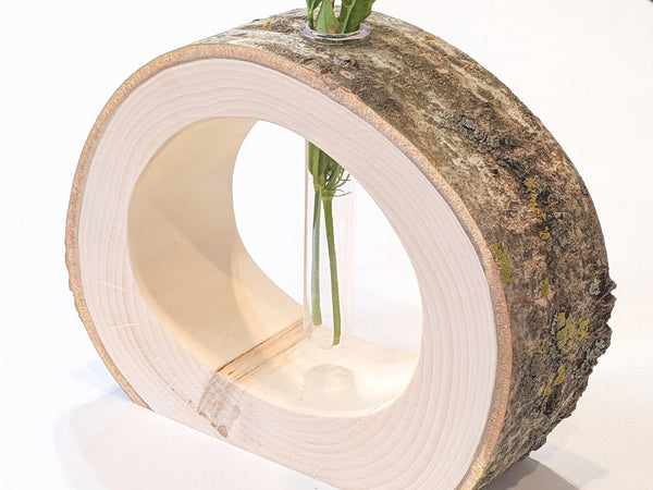 Aspen Log Test Tube Flower Vase