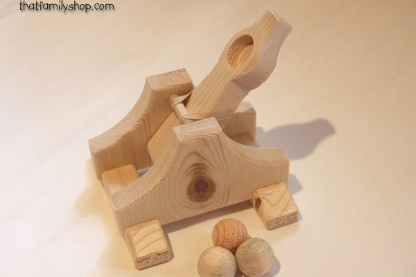 Toy Catapult Launchers Wooden Game-thatfamilyshop.com