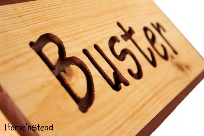 Customizable Engraved Wood Name Plaques Pet Animal Sign Stall Name Sig –