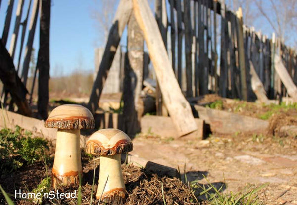 Log Mushrooms (Set of 2) Garden Gift Lawn Ornaments Display-thatfamilyshop.com