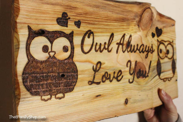 Owl Plaque, Cute Rustic Personalized Wall Gift Art-thatfamilyshop.com