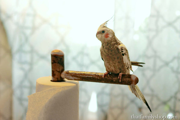 The "Poopy Perch" Paper Towel Holder and Pet Bird Trainer